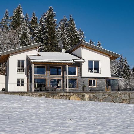 Chalet Isabella Kaltenbach Ngoại thất bức ảnh